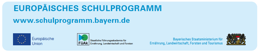 Europäisches Schulprogramm